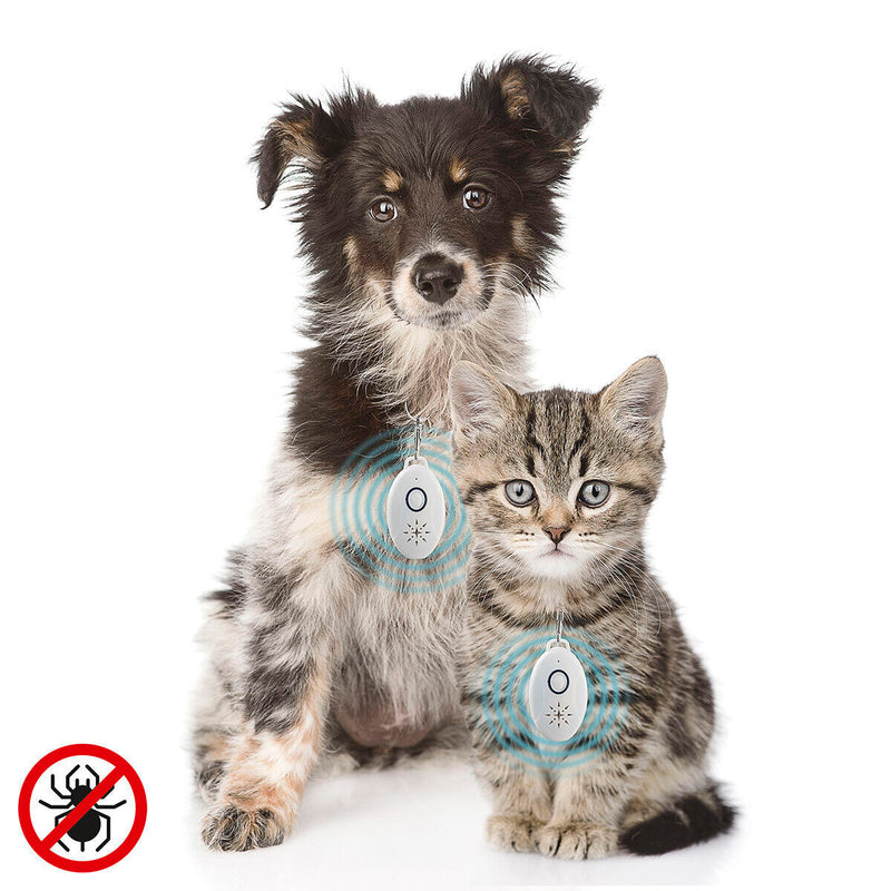 Proteja o Seu Pet! Antiparasitário Ultrassónico Sem Químicos