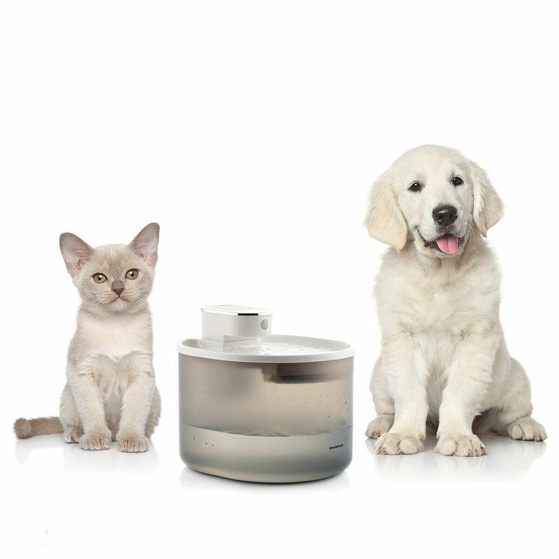 AquaMate Fonte de Água Automática com Sensor e Filtro para Gatos e Outros Animais Com Desconto Especial