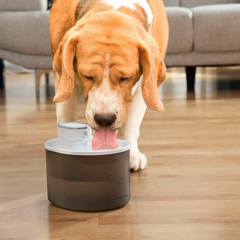 AquaMate Fonte de Água Automática com Sensor e Filtro para Gatos e Outros Animais Com Desconto Especial