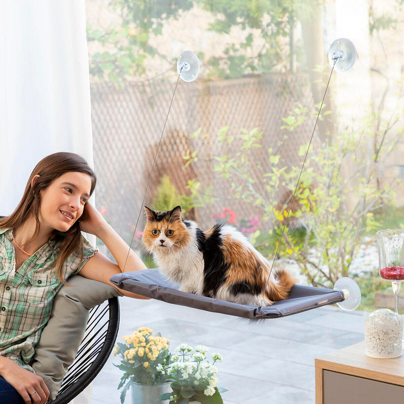 Refugio Suspenso para Gatos – Conforto e Diversão nas Alturas